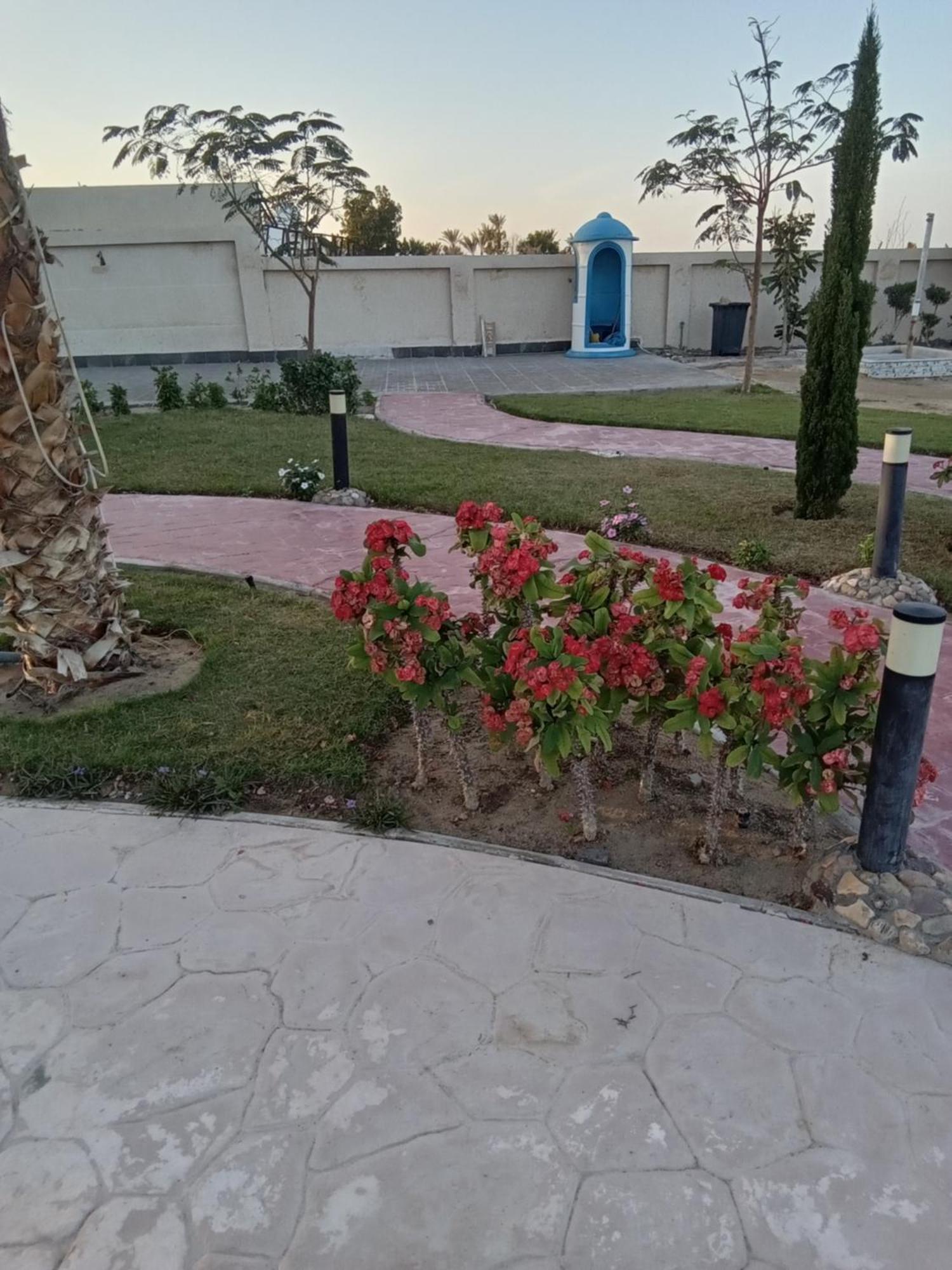 Casablanca Beach For Families And Couples Only Aparthotel Χουργκάντα Εξωτερικό φωτογραφία